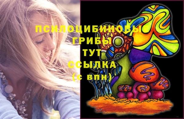 a pvp Надым